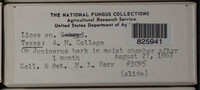Image Associated With the Occurence